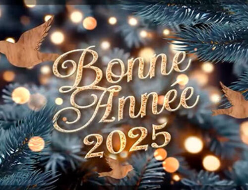 Réveillon Saint Sylvestre Mardi 31 Décembre 2024 : Menu « à emporter »